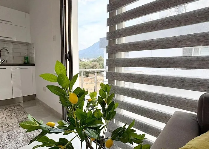 Lapta Yellow 1 Bedroom * Limassol